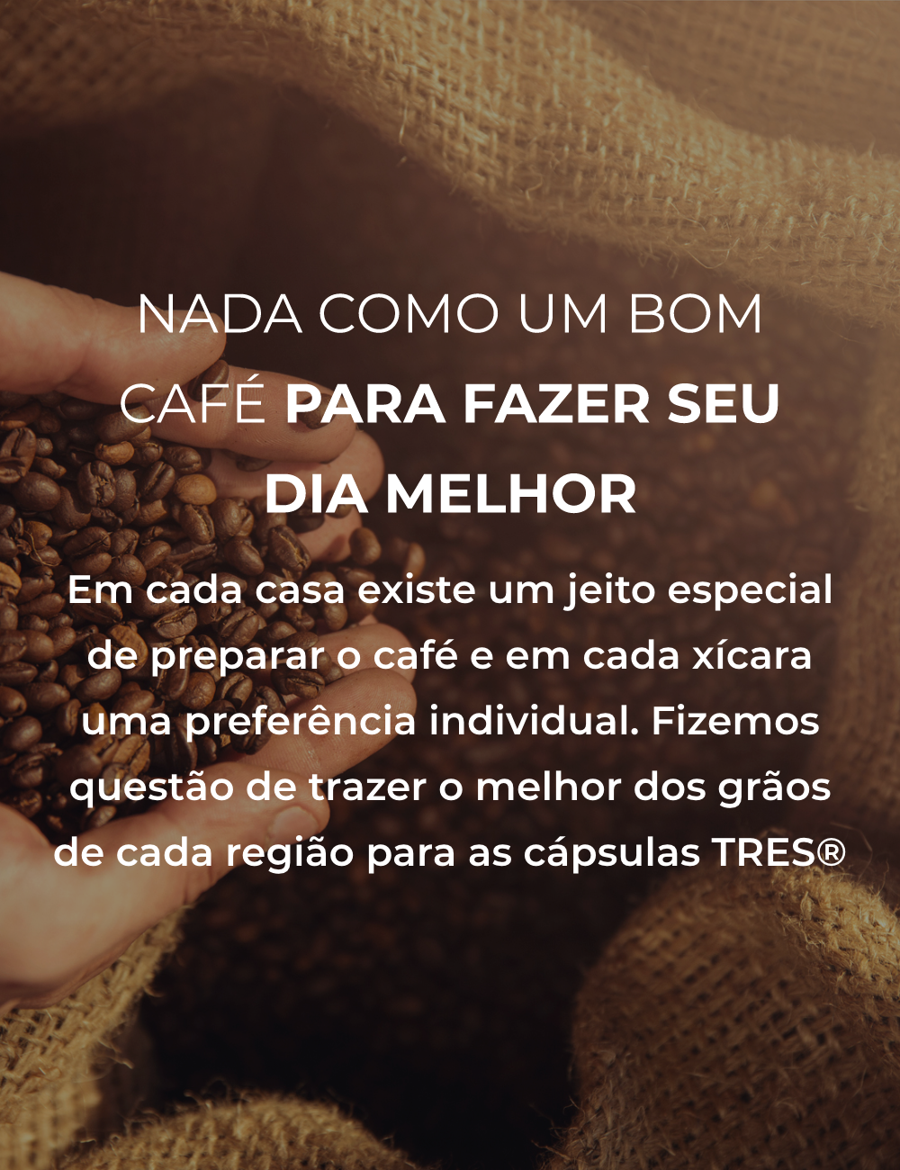 Tira Text: o serviço de tradução oficial do Café História - Café História